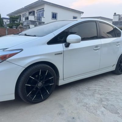 Prius 2010 options